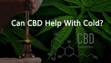 Can CBD Help With Cold