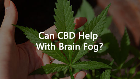 Can CBD Help with Brain Fog