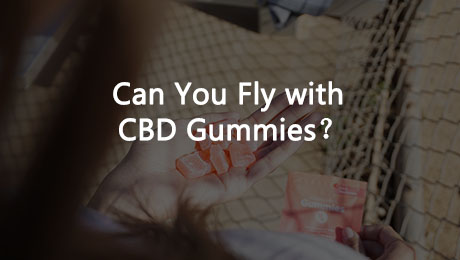 Can You Fly with CBD Gummies