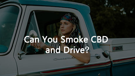 Can You Smoke CBD and Drive
