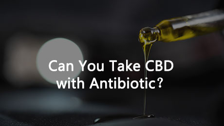 Can You Take CBD with Antibiotic