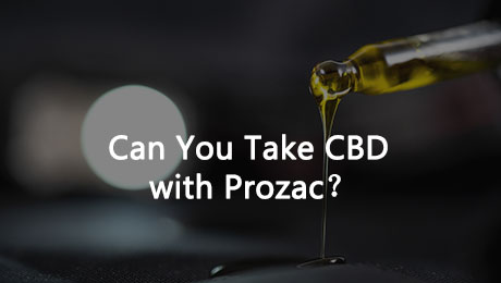 Can You Take CBD with Prozac