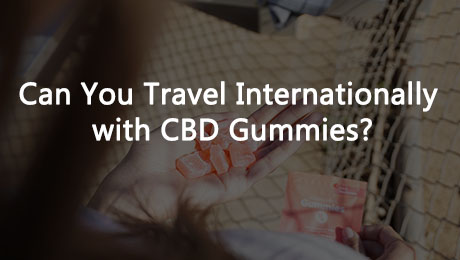Can You Travel Internationally with CBD GummieS